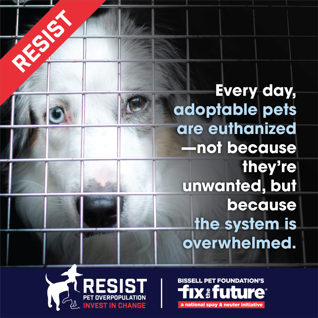 Resist Pet Overpopulation